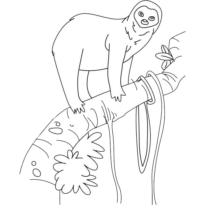 Free Sloth Standing On the Tree Coloring Pages printable