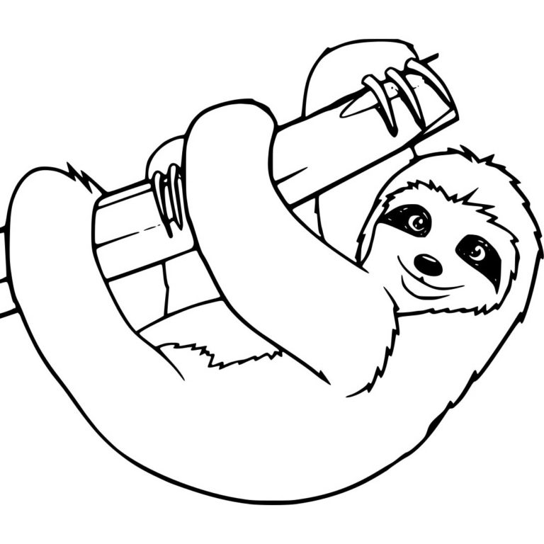Sloth Printable Sloth Printable