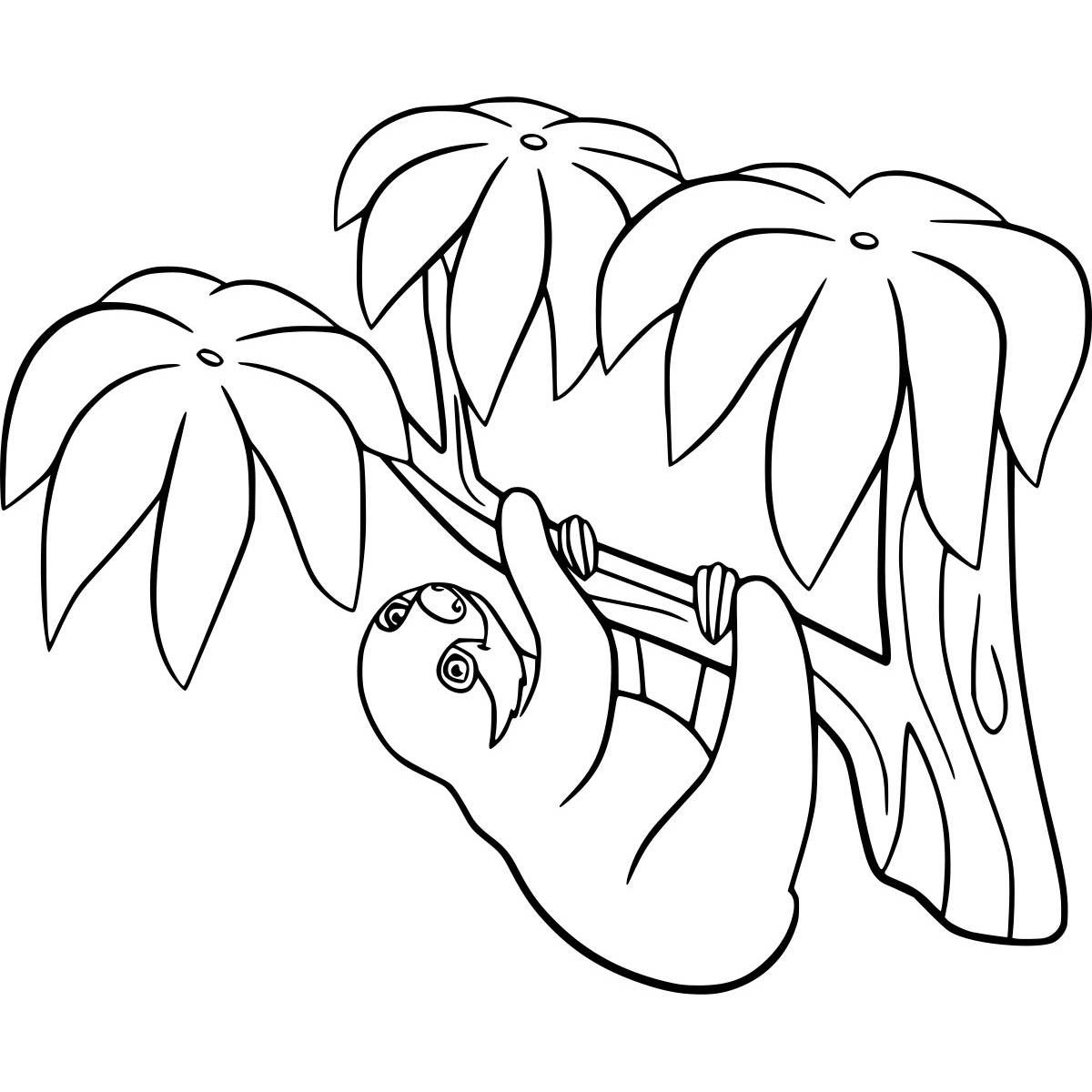 Free Three Toed Sloth Coloring Pages for Kids printable