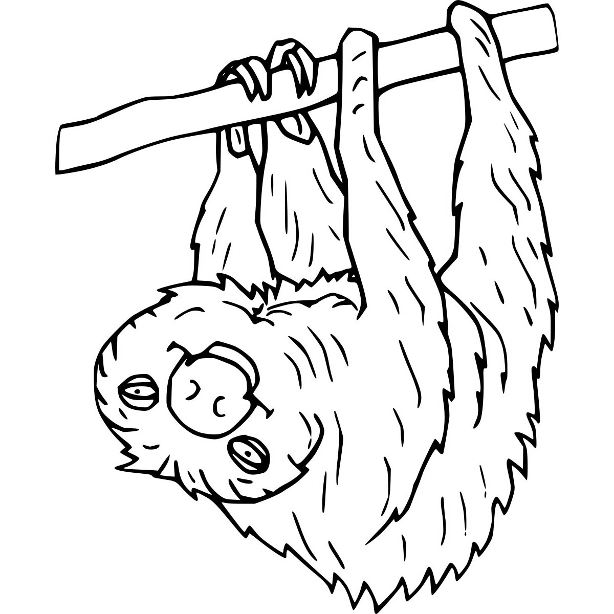 Free Two Toed Sloth Coloring Pages printable